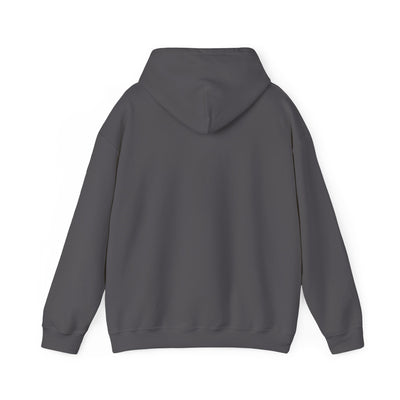 I Love NY Hoodie